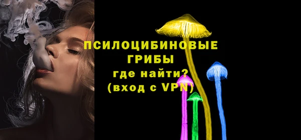 крисы Коряжма