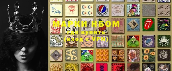 PSILOCYBIN Кодинск