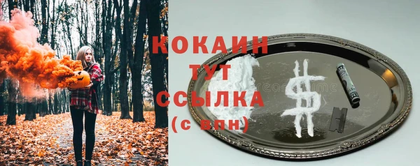 крисы Коряжма