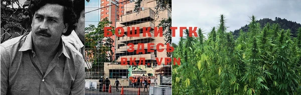 гидропоника Корсаков