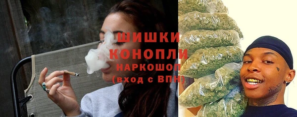 гидра Костерёво
