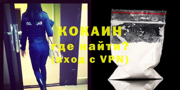 крисы Коряжма
