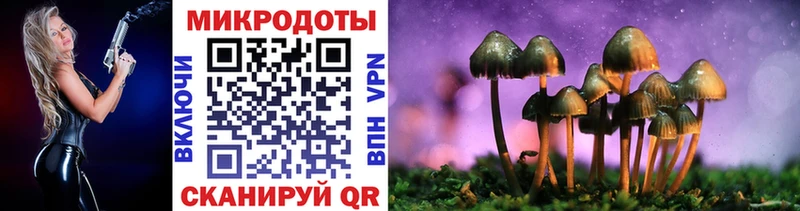 Галлюциногенные грибы прущие грибы  Михайловка 