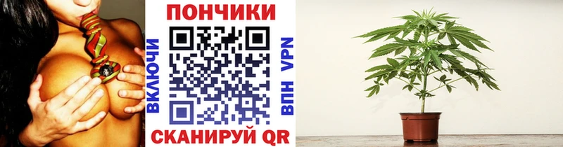mega как войти  Михайловка  Каннабис планчик 